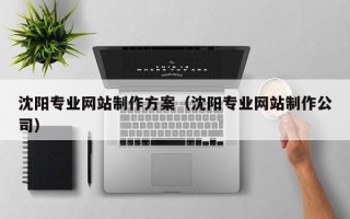 锡林郭勒沈阳专业网站制作方案（沈阳专业网站制作公司）